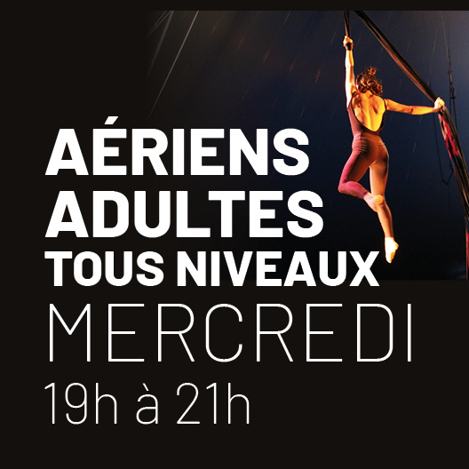 Cours-2023-2024-ATELIER-AERIENS-ADULTES-TOUS NIVEAUX