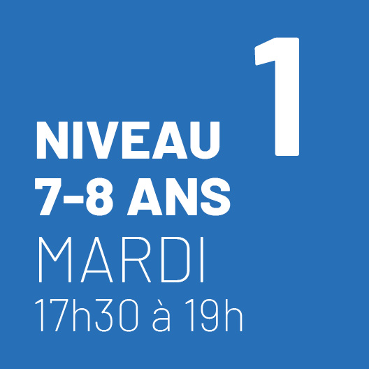 Cours-2023-2024-NIVEAU1-MARDI-1
