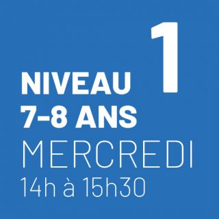 Cours-2023-2024-NIVEAU1-MERCREDI-1