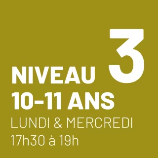 Niveau 3 - 10 et 11 ans - Lundi et mercredi 17h30-19h