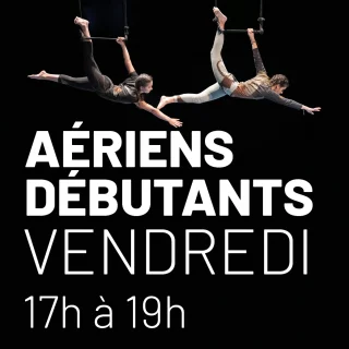 Atelier aériens débutants - Vendredi de 19h à 21h